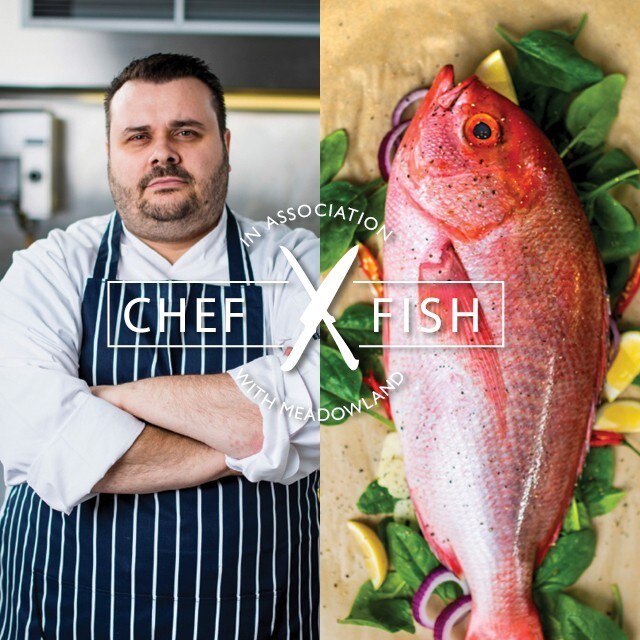 CHEF vs FISH 