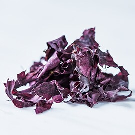 Dulse