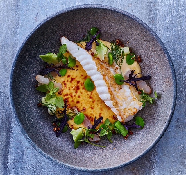 Plating inspiration and trends