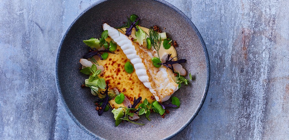 Plating inspiration and trends