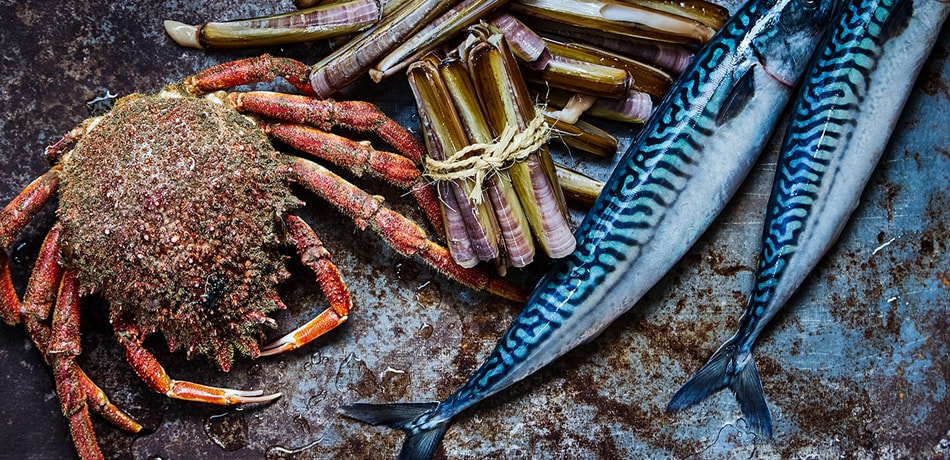 Trending fish