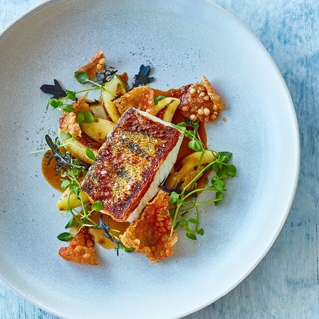 Why is  fish trending?