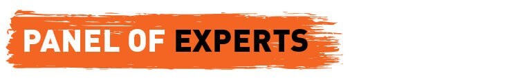 Text that reads Panel of experts on an orange background. 