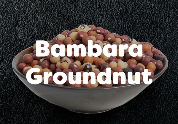 Bambara Groundnut
