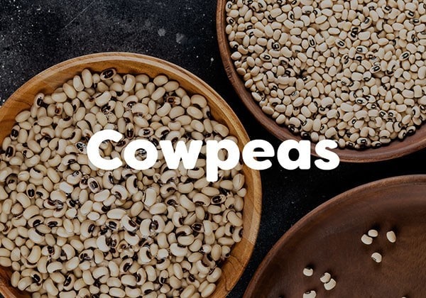 Cowpeas