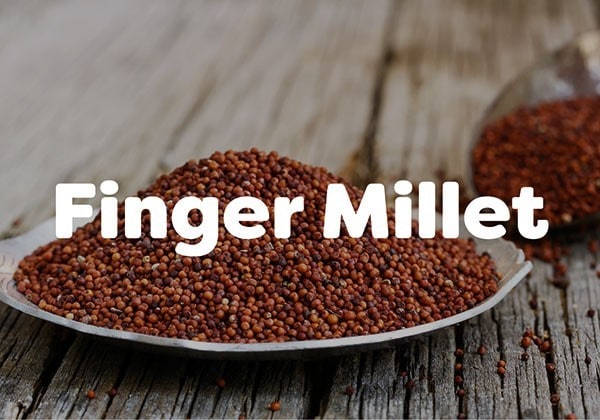 Finger Millet