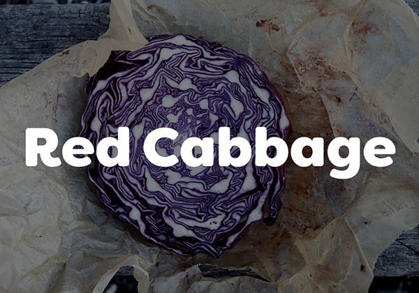 Red Cabbage