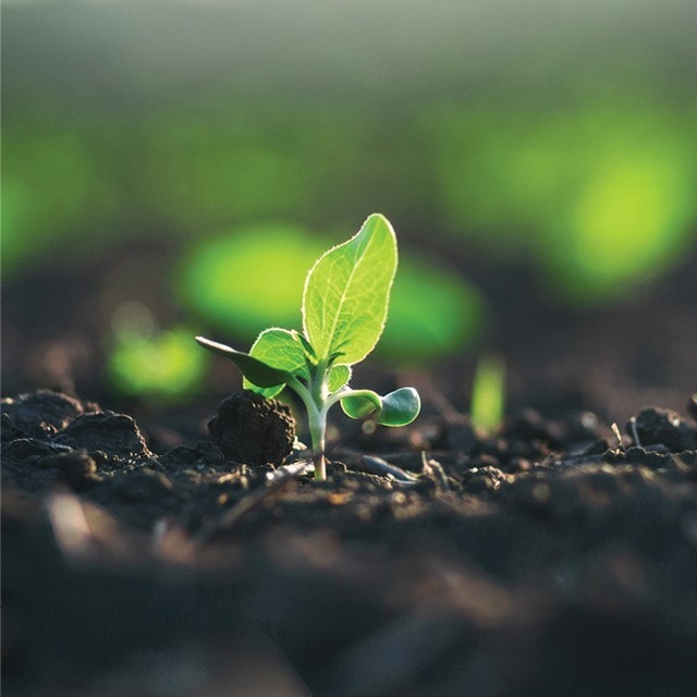 Cooking More Diversely For A More Sustainable Future