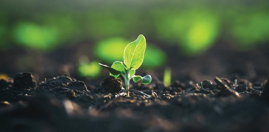 Cooking More Diversely For A More Sustainable Future