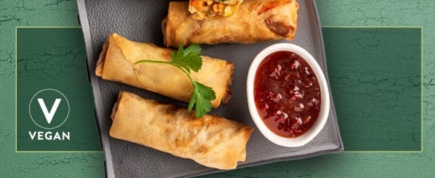 KNORR PROFESSIONAL SWEET CHILLI SAUCE