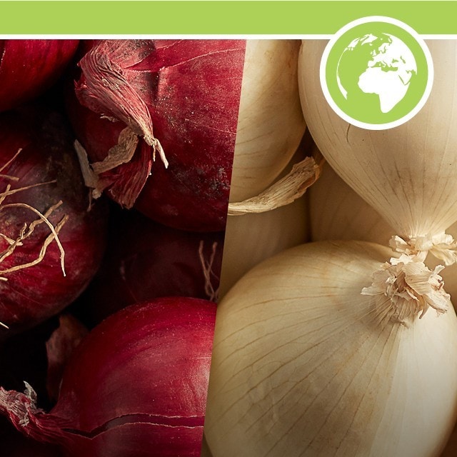 Knorr Professional Supports Sustainable Cooking