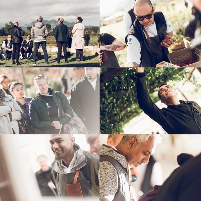 They Tested, They Tasted, They Savoured