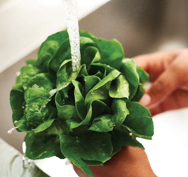 Know the Dangers of Listeriosis