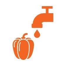 Infographic washing vegetables. 