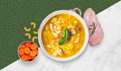 Chicken, Vegetable and Noodle Soup
