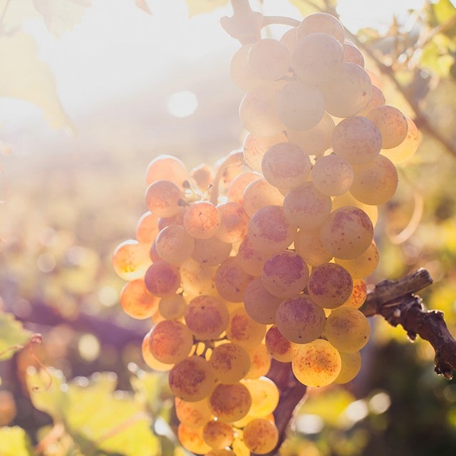 Put a bit more Med in the mix for your wine list