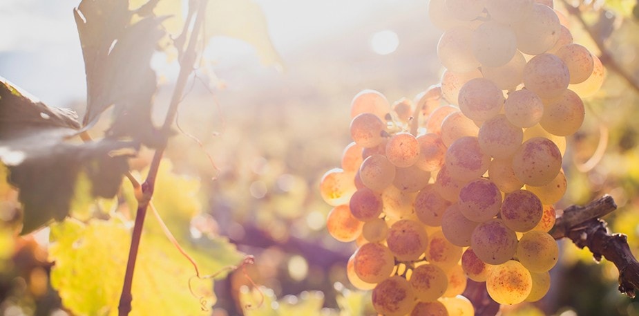 Put a bit more Med in the mix for your wine list