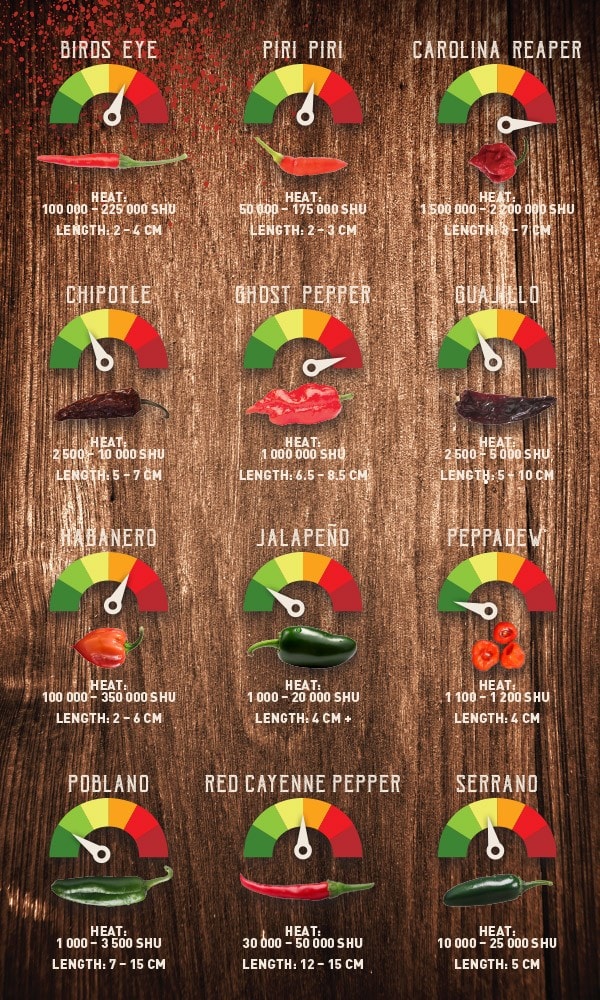 The Chilli Guide
