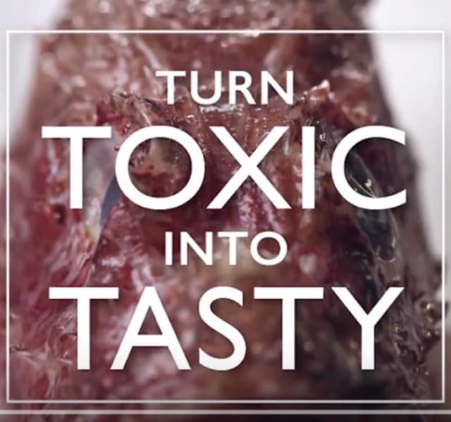 Turn toxic into Tasty