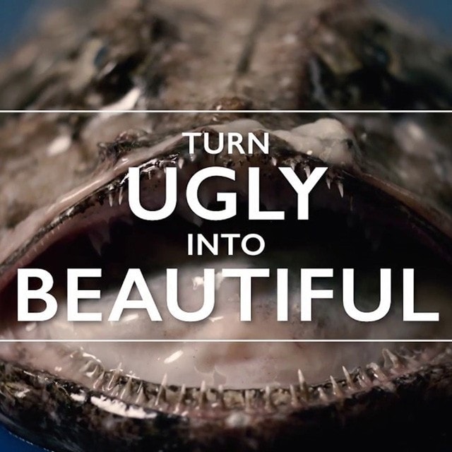 Watch : Turn ugly into beautiful