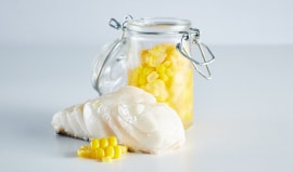 6.	Fish and fermented corn