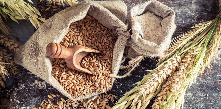 Training Guide for Whole Grains