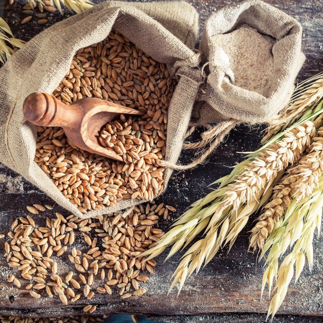 Training Guide for Whole Grains