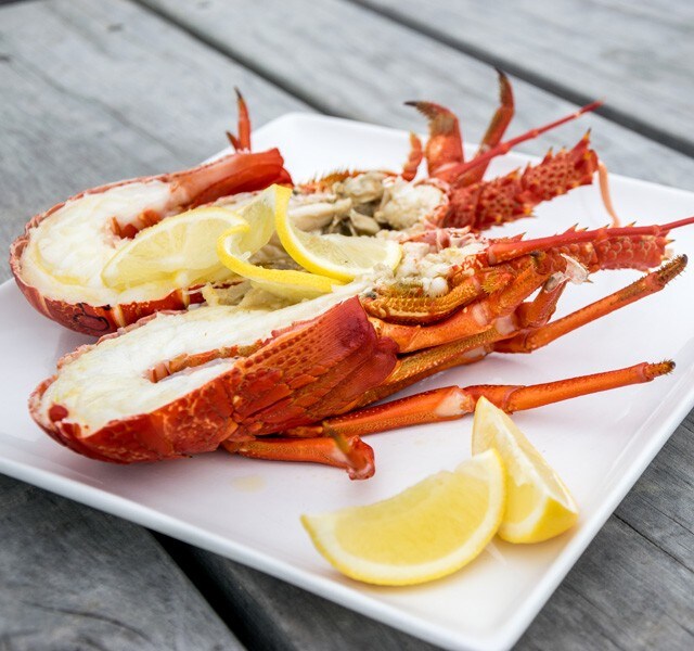Do you know your Casein from your Crayfish?