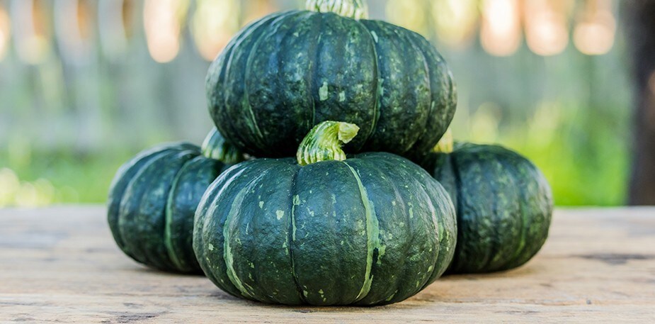 Chefs Share New Ways to Bring Guests Wholesome, Seasonal Fare