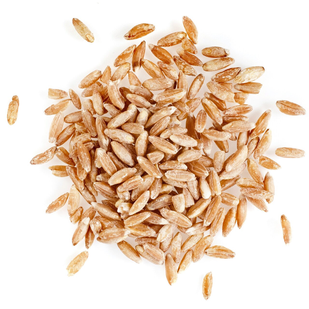 Grains on a white background. 