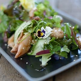 Spiced up Squid, ribbon cucumber, coriander, basil & rocket salad