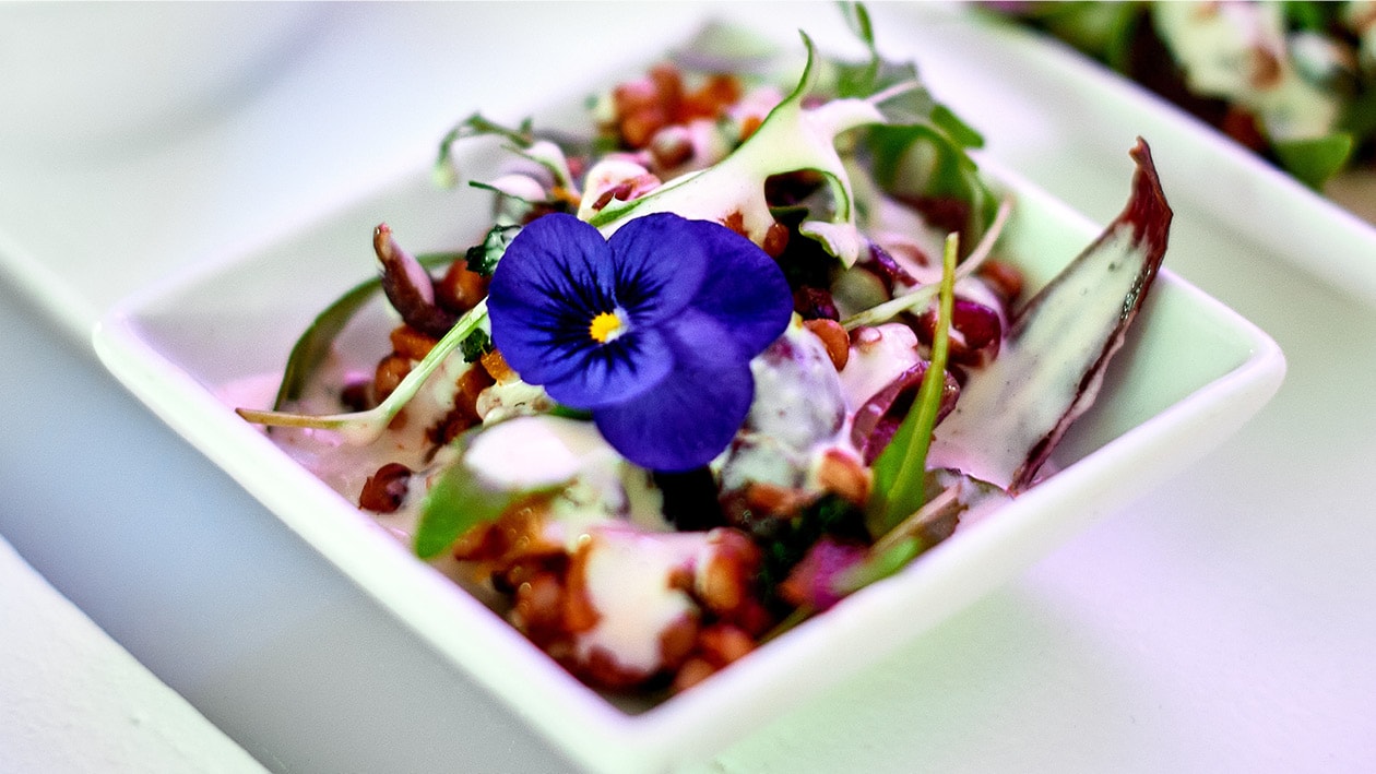 Roast Spiced Squash Salad with Tahini Dressing – - Recipe
